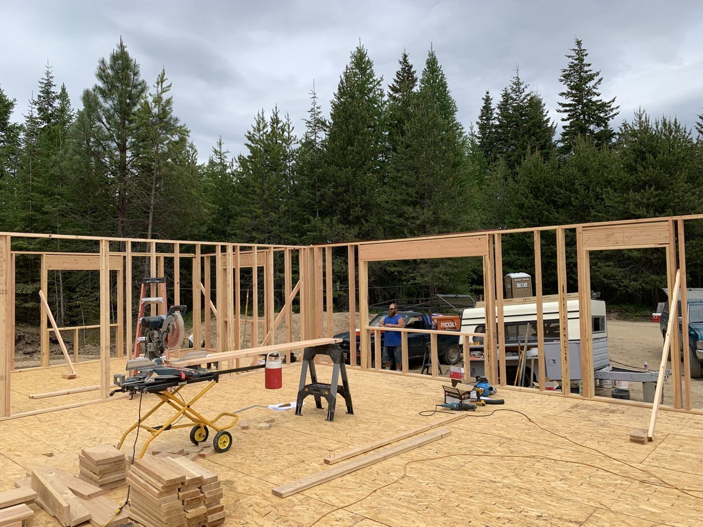 Walls being framed on a new slab surrounded by pines